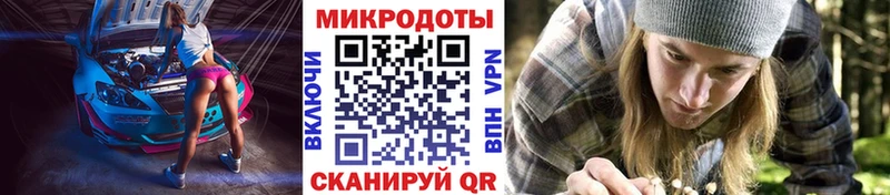 блэк спрут как войти  где купить наркоту  Новый Оскол  Псилоцибиновые грибы мицелий 